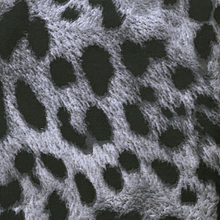 Load image into Gallery viewer, Bella Eco Bra - Black Cheetah - Ipanema