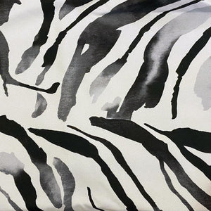 Zebra Print Actual Photo